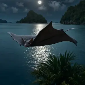 Bat + Manta ray